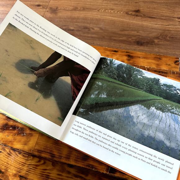 Cycle Of Rice Cycle Of Life A Story Of Sustainable Farming Hardcover Book - Picture 7 of 10